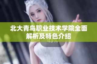北大青鸟职业技术学院全面解析及特色介绍
