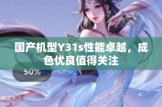 国产机型Y31s性能卓越，成色优良值得关注