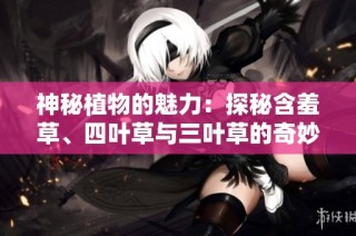 神秘植物的魅力：探秘含羞草、四叶草与三叶草的奇妙世界