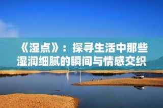 《湿点》：探寻生活中那些湿润细腻的瞬间与情感交织