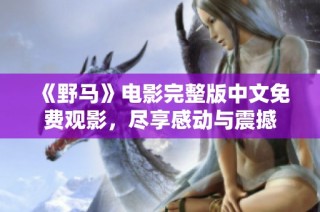 《野马》电影完整版中文免费观影，尽享感动与震撼