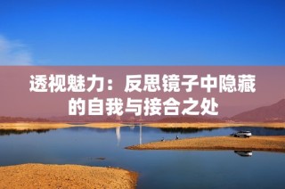 透视魅力：反思镜子中隐藏的自我与接合之处