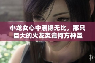小龙女心中震撼无比，那只巨大的火龙究竟何方神圣