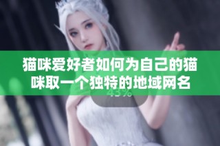 猫咪爱好者如何为自己的猫咪取一个独特的地域网名