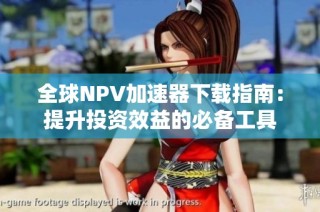 全球NPV加速器下载指南：提升投资效益的必备工具