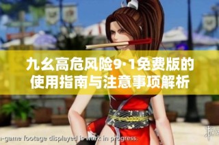 九幺高危风险9·1免费版的使用指南与注意事项解析