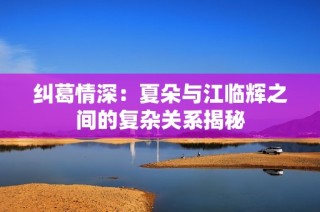 纠葛情深：夏朵与江临辉之间的复杂关系揭秘