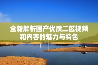 全新解析国产优质二区视频和内容的魅力与特色