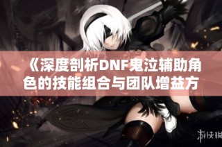 《深度剖析DNF鬼泣辅助角色的技能组合与团队增益方法》
