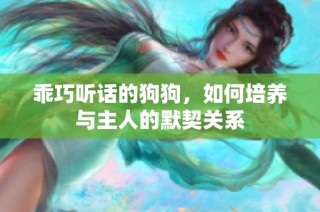 乖巧听话的狗狗，如何培养与主人的默契关系