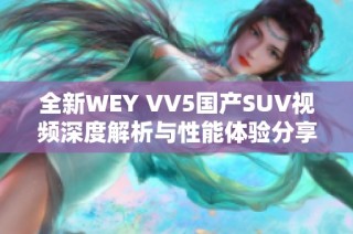 全新WEY VV5国产SUV视频深度解析与性能体验分享