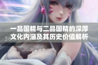 一品国精与二品国精的深厚文化内涵及其历史价值解析