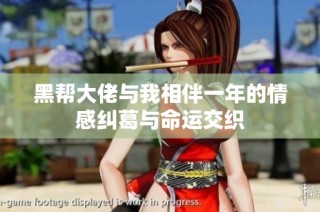 黑帮大佬与我相伴一年的情感纠葛与命运交织