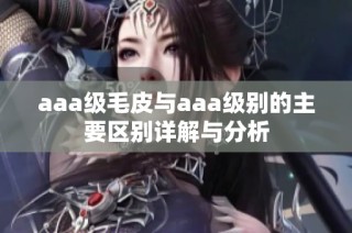 aaa级毛皮与aaa级别的主要区别详解与分析