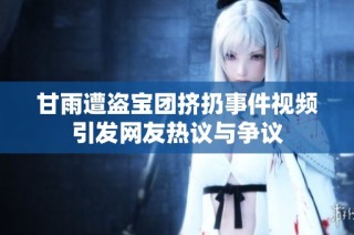 甘雨遭盗宝团挤扔事件视频引发网友热议与争议