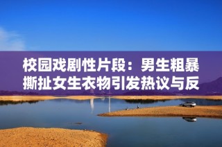 校园戏剧性片段：男生粗暴撕扯女生衣物引发热议与反思