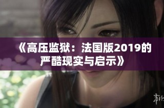 《高压监狱：法国版2019的严酷现实与启示》