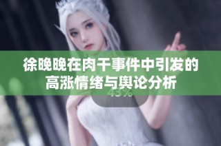徐晚晚在肉干事件中引发的高涨情绪与舆论分析