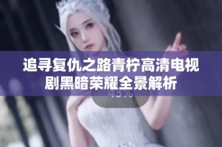 追寻复仇之路青柠高清电视剧黑暗荣耀全景解析