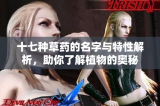 十七种草药的名字与特性解析，助你了解植物的奥秘