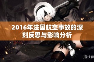 2016年法国航空事故的深刻反思与影响分析
