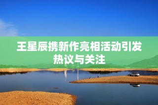 王星辰携新作亮相活动引发热议与关注