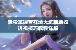 轻松掌握吉祥填大坑辅助器透视技巧教程详解