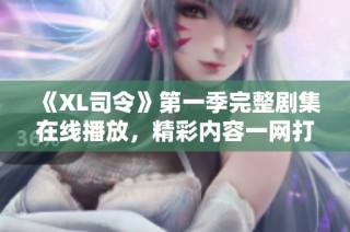 《XL司令》第一季完整剧集在线播放，精彩内容一网打尽