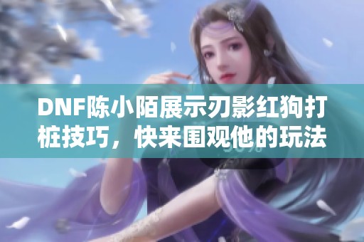 DNF陈小陌展示刃影红狗打桩技巧,快来围观他的玩法解析! DNF陈小陌展示刃影红狗打桩技巧,快来围观他的玩法解析!