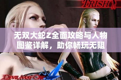 无双大蛇Z全面攻略与人物图鉴详解，助你畅玩无阻
