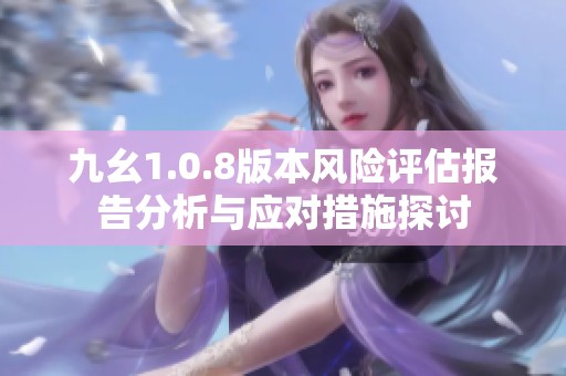 九幺1.0.8版本风险评估报告分析与应对措施探讨