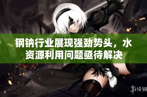 钢钠行业展现强劲势头，水资源利用问题亟待解决