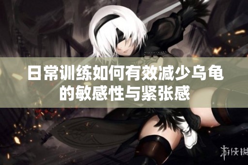 日常训练如何有效减少乌龟的敏感性与紧张感