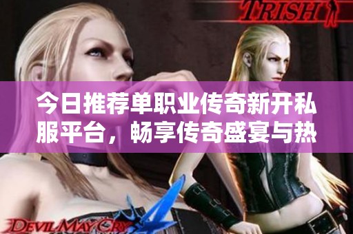 今日推荐单职业传奇新开私服平台，畅享传奇盛宴与热血体验
