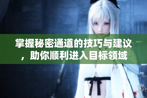 掌握秘密通道的技巧与建议，助你顺利进入目标领域