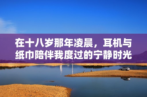 在十八岁那年凌晨，耳机与纸巾陪伴我度过的宁静时光