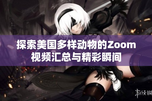 探索美国多样动物的Zoom视频汇总与精彩瞬间