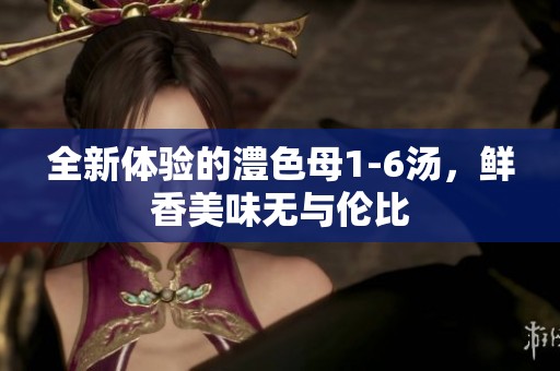 全新体验的澧色母1-6汤，鲜香美味无与伦比