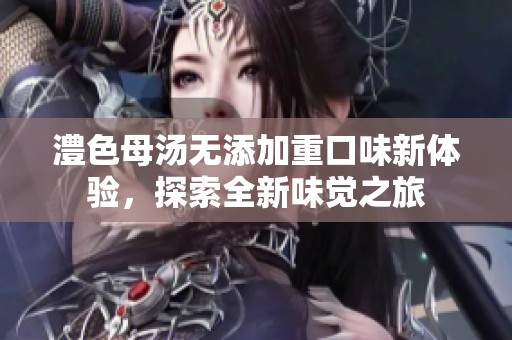 澧色母汤无添加重口味新体验，探索全新味觉之旅