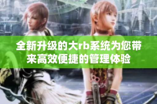 全新升级的大rb系统为您带来高效便捷的管理体验