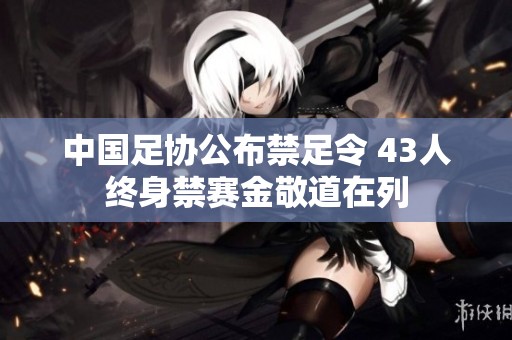 中国足协公布禁足令 43人终身禁赛金敬道在列