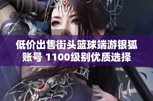 低价出售街头篮球端游银狐账号 1100级别优质选择