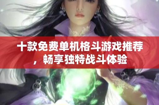 十款免费单机格斗游戏推荐，畅享独特战斗体验