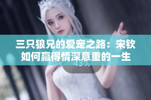 三只狼兄的爱宠之路：宋钦如何赢得情深意重的一生