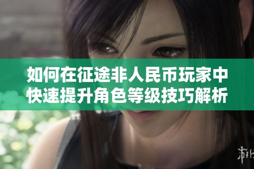 如何在征途非人民币玩家中快速提升角色等级技巧解析