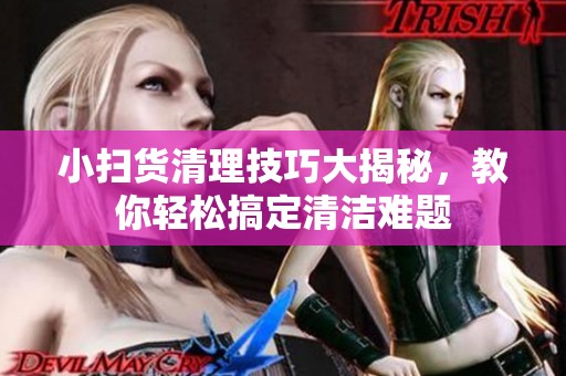 小扫货清理技巧大揭秘，教你轻松搞定清洁难题