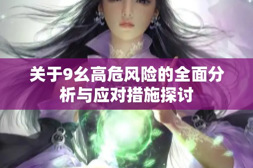 关于9幺高危风险的全面分析与应对措施探讨