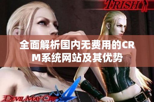 全面解析国内无费用的CRM系统网站及其优势