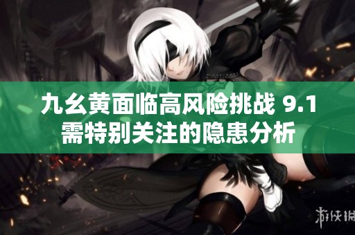 九幺黄面临高风险挑战 9.1需特别关注的隐患分析