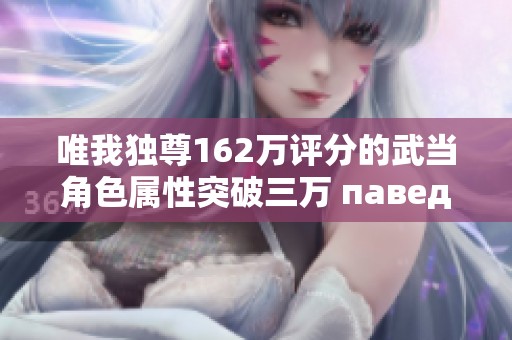 唯我独尊162万评分的武当角色属性突破三万 паведам天龙重写新篇章
